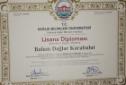 Dyt. Balum Dağlar Karabulut Diyetisyen sertifikası