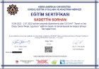 Psk. Dan. Sadettin Sorhan Psikolojik Danışman sertifikası