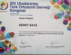 Uzm. Dt. Demet Kaya Şengül Diş Hekimi sertifikası