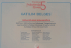 Klinik Psikolog  Dilara Numanoglu Psikoloji sertifikası