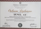 Dt. Şenel Erdemircan Diş Hekimi sertifikası