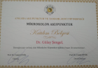Uzm. Dr. Gülay Şengel Geleneksel ve Tamamlayıcı Tıp sertifikası