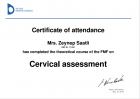 Op. Dr. Zeynep Korkmaz Kadın Hastalıkları ve Doğum sertifikası