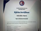 Dyt. Hatice Kübra Alperen Diyetisyen sertifikası