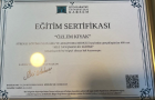 Psk. Dan. Özlem Kıyak Psikolojik Danışman sertifikası