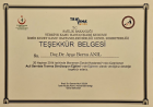 Prof. Dr. Ayşe Berna Anıl Çocuk Sağlığı ve Hastalıkları sertifikası