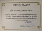 Uzm. Psk. Selman Şerbetçioğlu Psikoloji sertifikası