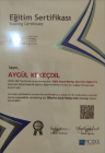 Dyt. Aygül Kekeçdil Diyetisyen sertifikası