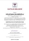 Psk. Gülefşan Çelebioğlu Psikoloji sertifikası