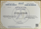 Psk. Dan. Gizem Aydemir Psikolojik Danışman sertifikası