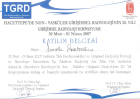 Prof. Dr. İsmail Şerifoğlu Girişimsel Radyoloji sertifikası