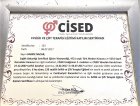 Psk. Hande Nacar Baş Psikoloji sertifikası