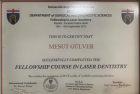 Dt. Mesut Gülver Diş Hekimi sertifikası