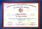 Prof. Dr. Engin Çetinkaya Ortopedi ve Travmatoloji sertifikası