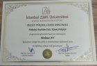 Uzm. Kl. Psk. Mehmet Ay Psikoloji sertifikası