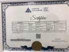 Psk. Dan. Dilay Şişkooğlu Psikolojik Danışman sertifikası