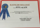 Prof. Dr. Birol Alver Psikolojik Danışman sertifikası