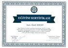 Uzm. Psk. Dan. Hande Özgödek Psikolojik Danışman sertifikası