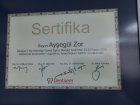 Dt. Ayşegül Zor Diş Hekimi sertifikası