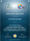 Uzm. Psk. Bayram Gülmez Psikoloji sertifikası