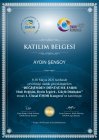 Psk. Aydın Şensoy Psikoloji sertifikası