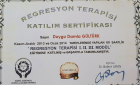 Psk. Damla Dengiz Psikoloji sertifikası