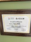 Psk. Aleyna Eren Psikoloji sertifikası