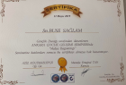 Psk. Buse Sağlam Kutlu Psikoloji sertifikası
