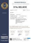 Psk. Dan. Elmas Kalmaz Psikolojik Danışman sertifikası