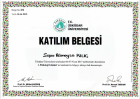Psk. Rümeysa Kılıç Psikoloji sertifikası
