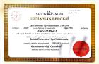 Doç. Dr. Emre Turgut Genel Cerrahi sertifikası