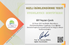 Dil ve Konuşma Terapisti Elif Feyzan ÇEVİK Dil Konuşma Bozuklukları sertifikası