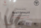 Dyt. Aygül Kekeçdil Diyetisyen sertifikası