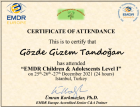 Klinik Psikolog  Gözde Gizem Tandoğan Psikoloji sertifikası