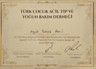 Prof. Dr. Ayşe Berna Anıl Çocuk Sağlığı ve Hastalıkları sertifikası