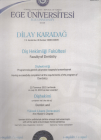 Dt. Dilay Karadağ Diş Hekimi sertifikası