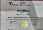 Psk. Arzu Demir Psikoloji sertifikası