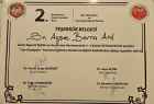 Prof. Dr. Ayşe Berna Anıl Çocuk Sağlığı ve Hastalıkları sertifikası
