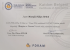 Uzm. Psk. Dan. Hakan Sürücü Psikolojik Danışman sertifikası