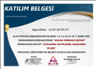 Psk. Şura Bozkurt Psikoloji sertifikası
