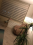 Klinik Fotoğrafları