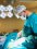 Klinik Fotoğrafları