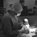 Op. Dr. Nihan Dedeoğlu 