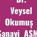 Dr. Veysel Okumuş