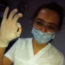 Dt. Deniz Demirci 
