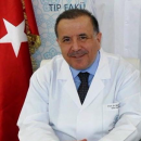 Prof. Dr. Mehmet Okka 