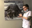 Dr. Dt. Sümeyye Kesgin Şen