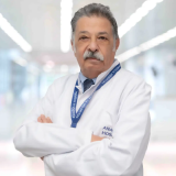Prof. Dr. Murat Lekili