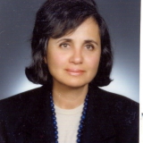 Prof. Dr. Aytaç Gököz
