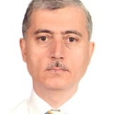 Prof. Dr. Murat Elevli